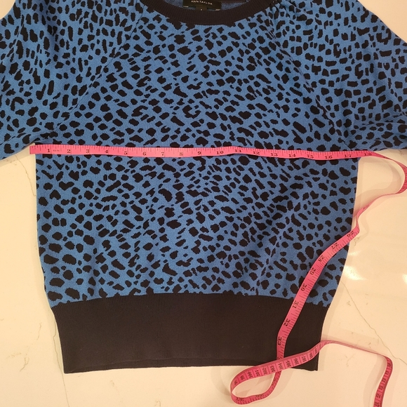 Ann Taylor - Animal Print Sweater - Picture 4 of 9